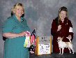 Town and Country Toy Dog Club - USA 2007 : Best Junior Handler